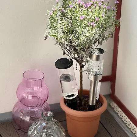Uferglanz - Balcony, View, Sparkling Wine, Snacks Apartment *